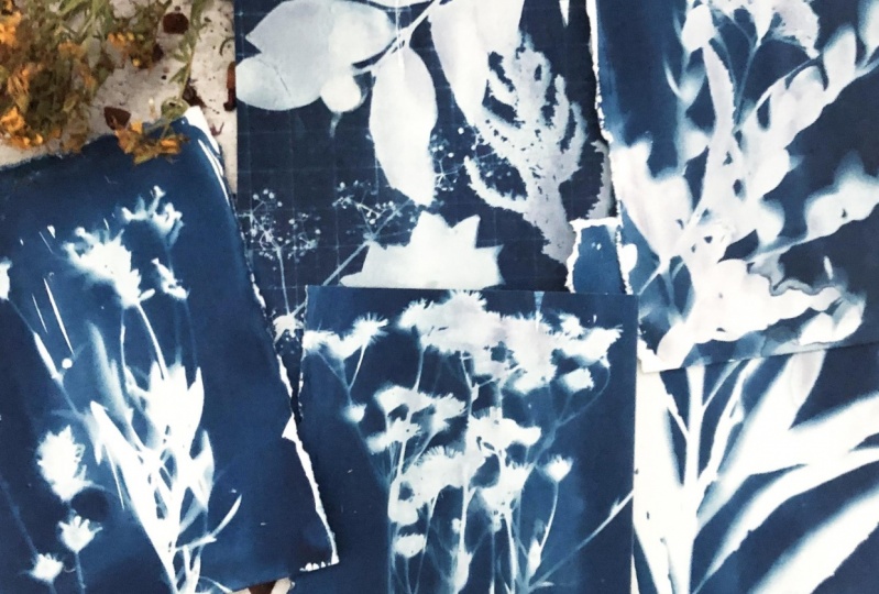 Cyanotype