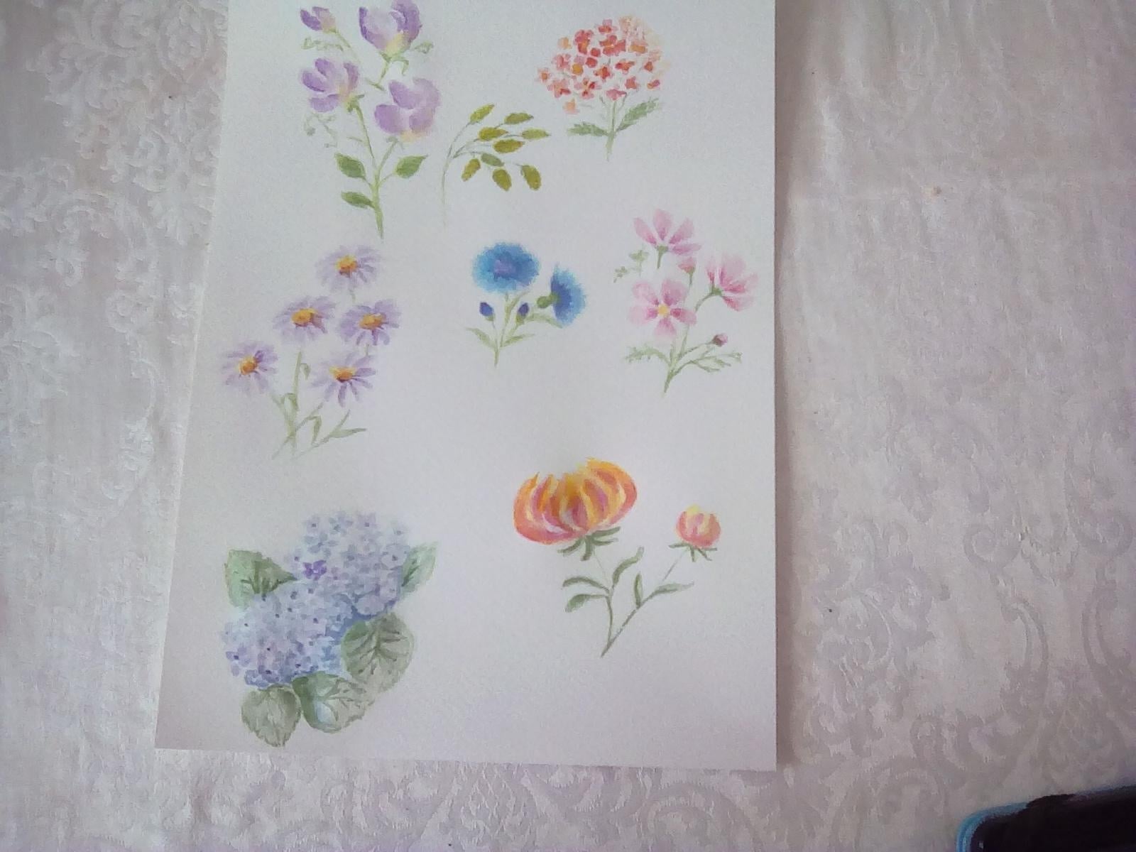 Summer flowers - student project
