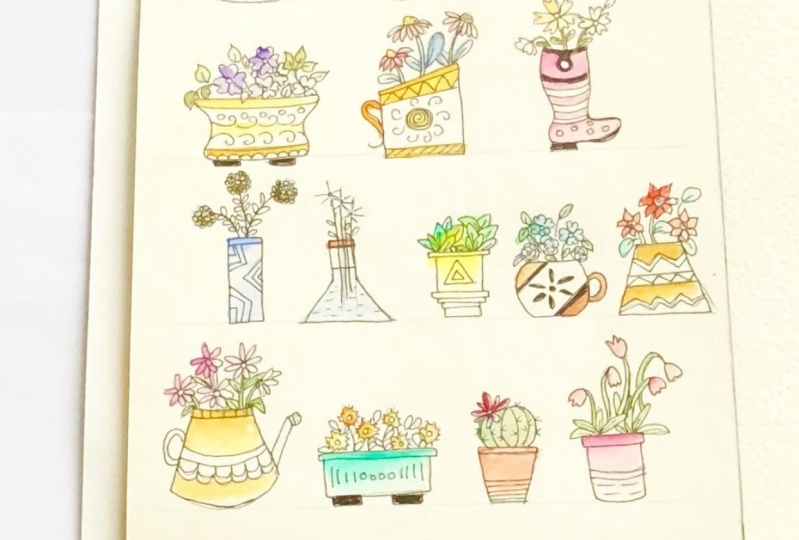 Decorative potted plants
