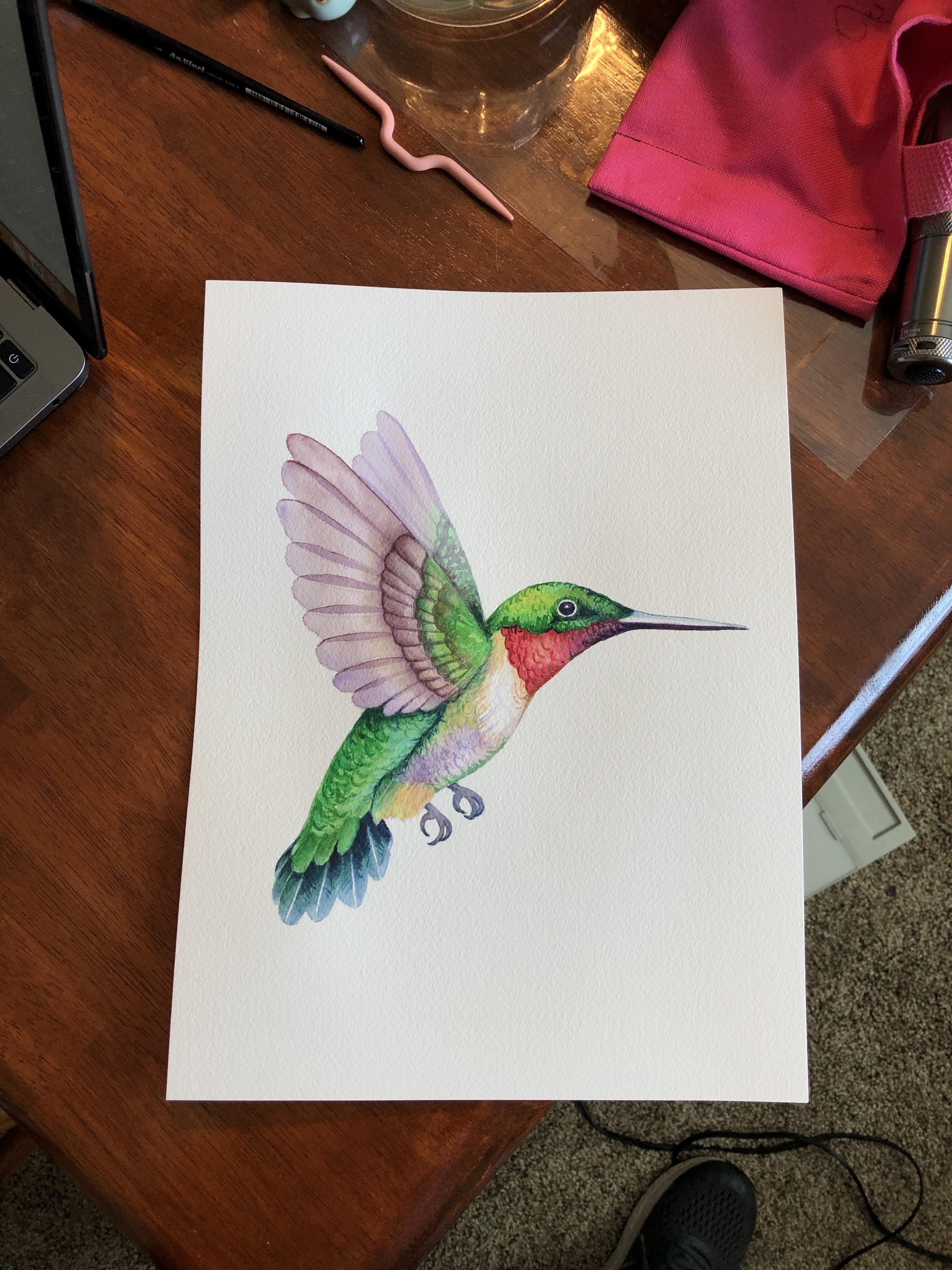 Hummingbird - student project