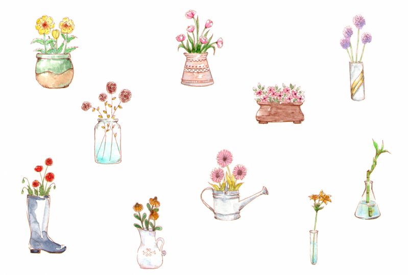 Spring flowers