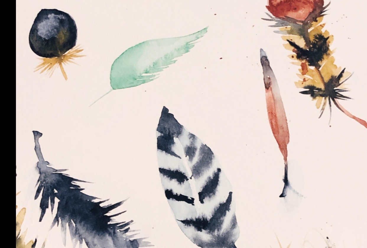 Feathers - student project