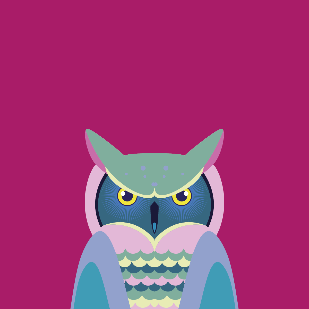 Big Owl - student project