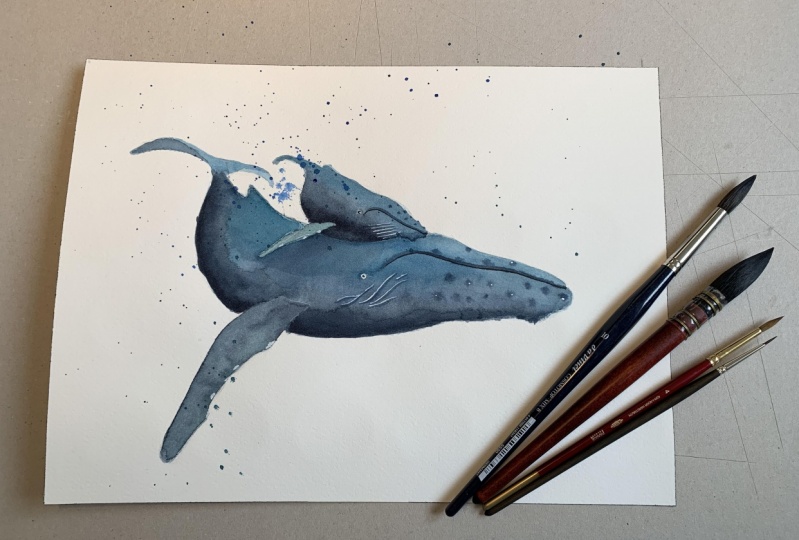 Humpback Whales