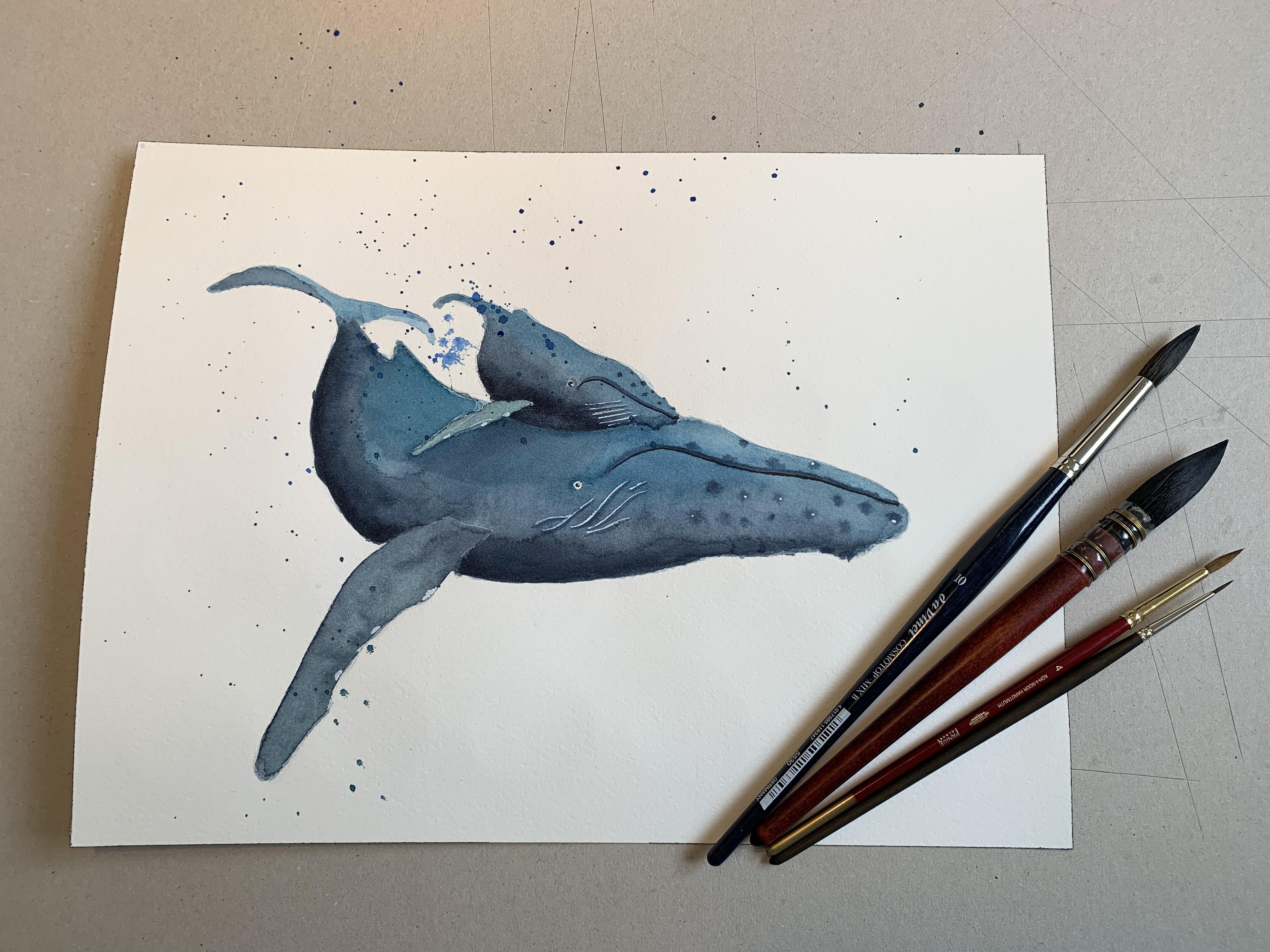 Humpback Whales - student project