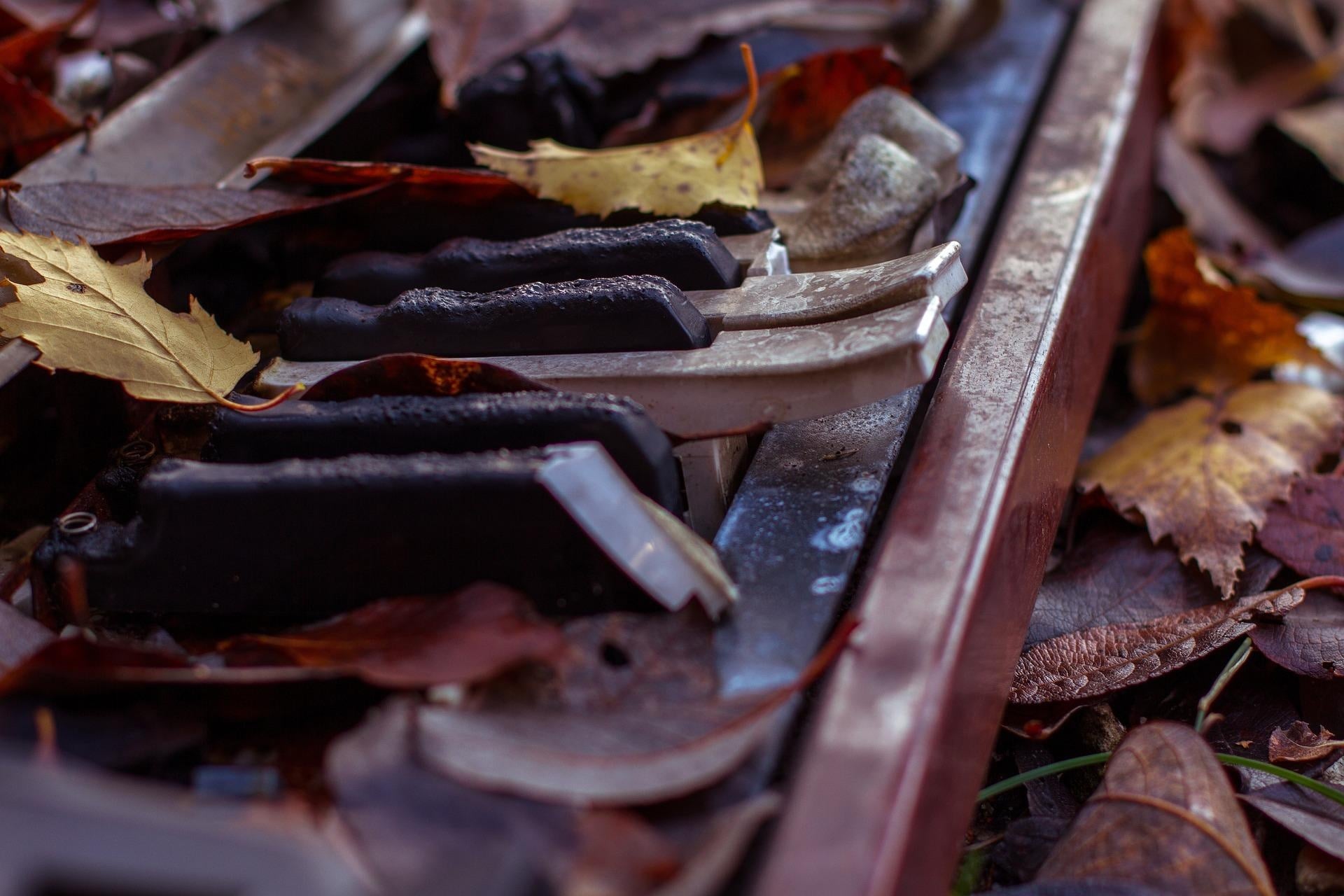 Practise Autumn Leaves until you can play it without any pauses or mistakes. - student project