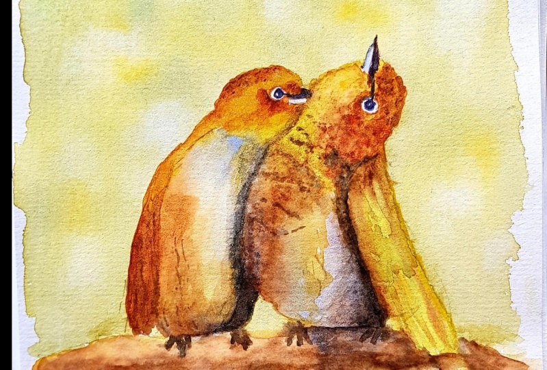 Love birds