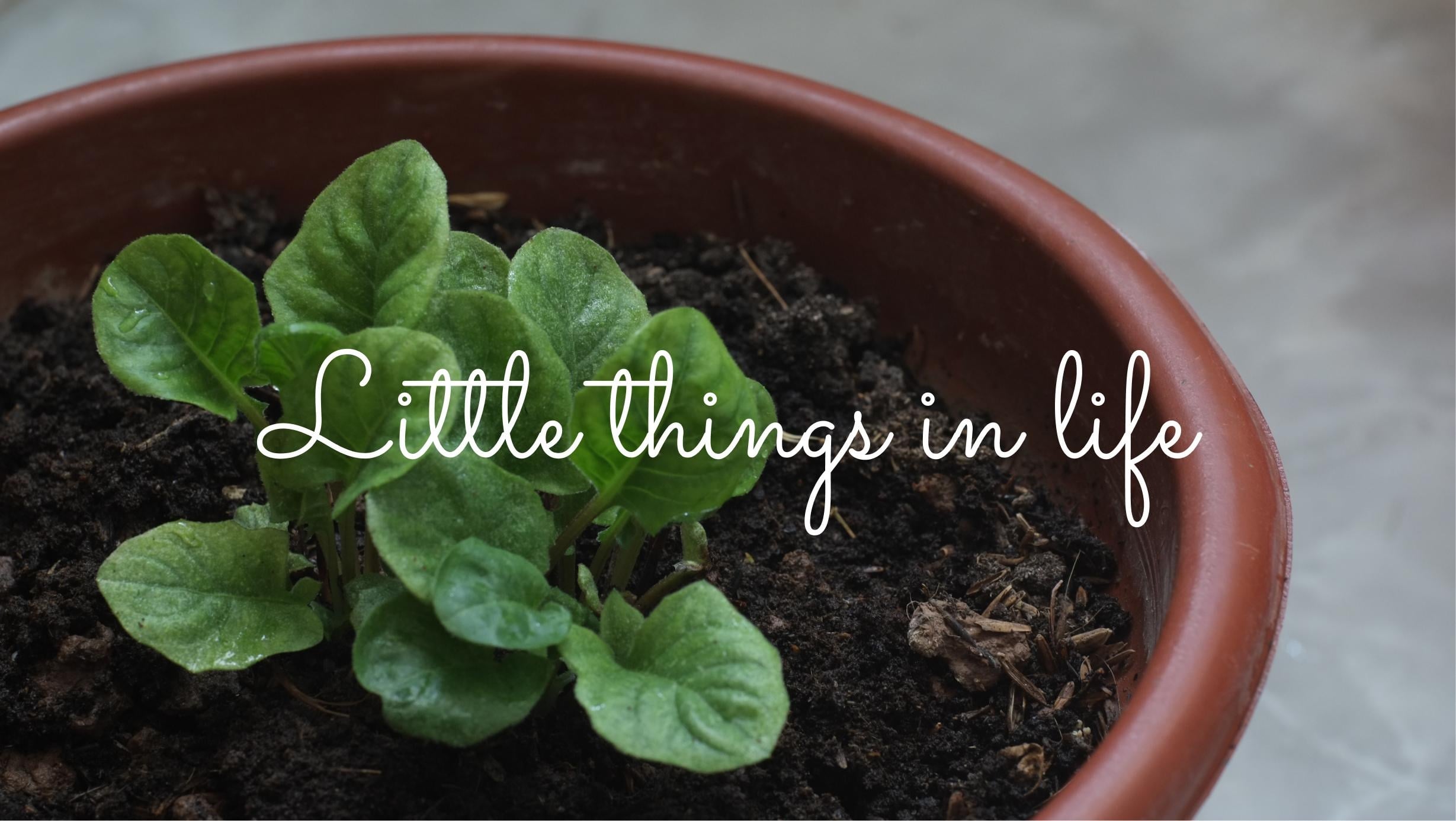 Little things that matter - student project