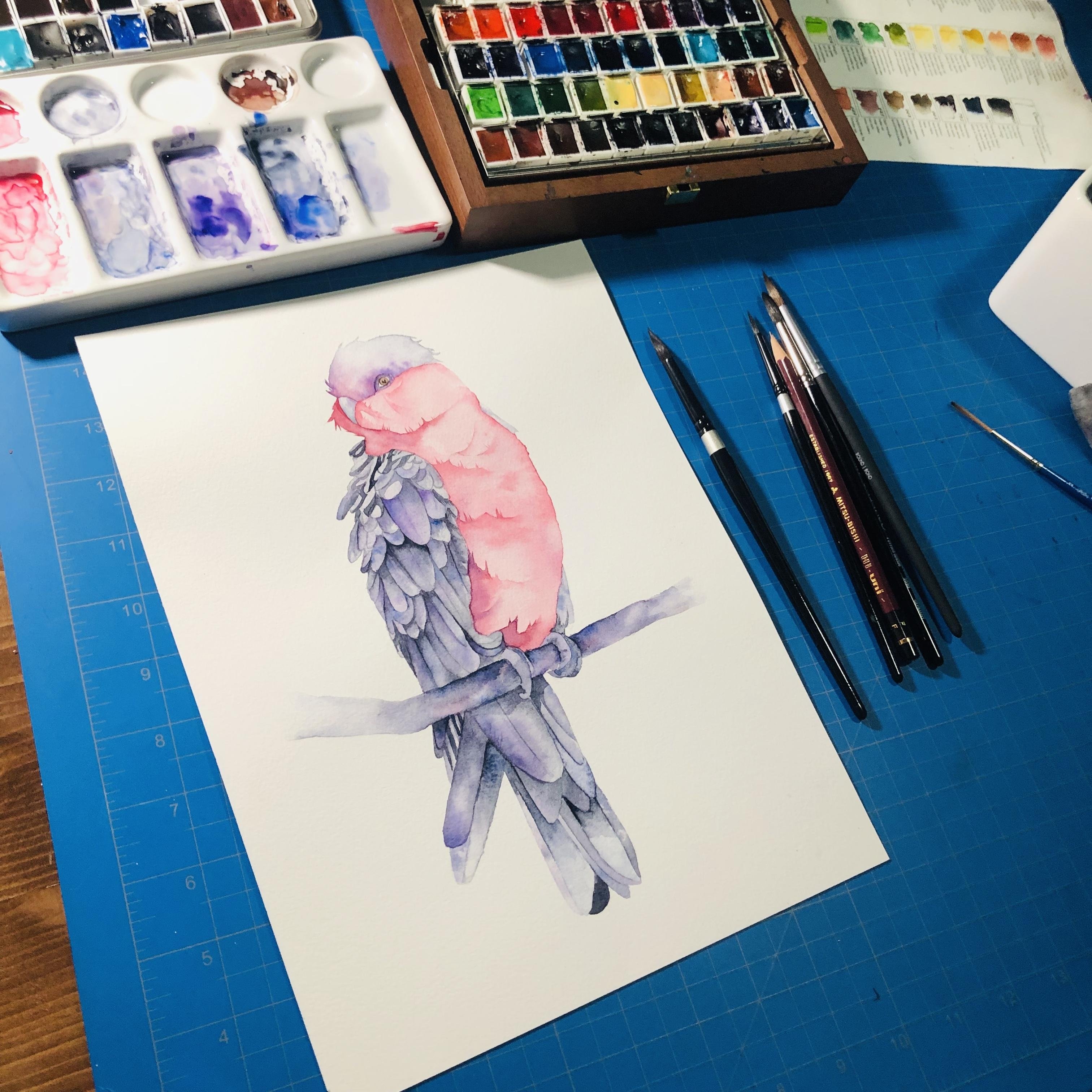 Galah - student project