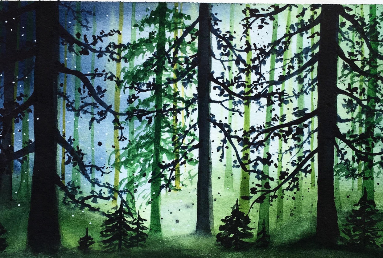 Misty Forest - student project