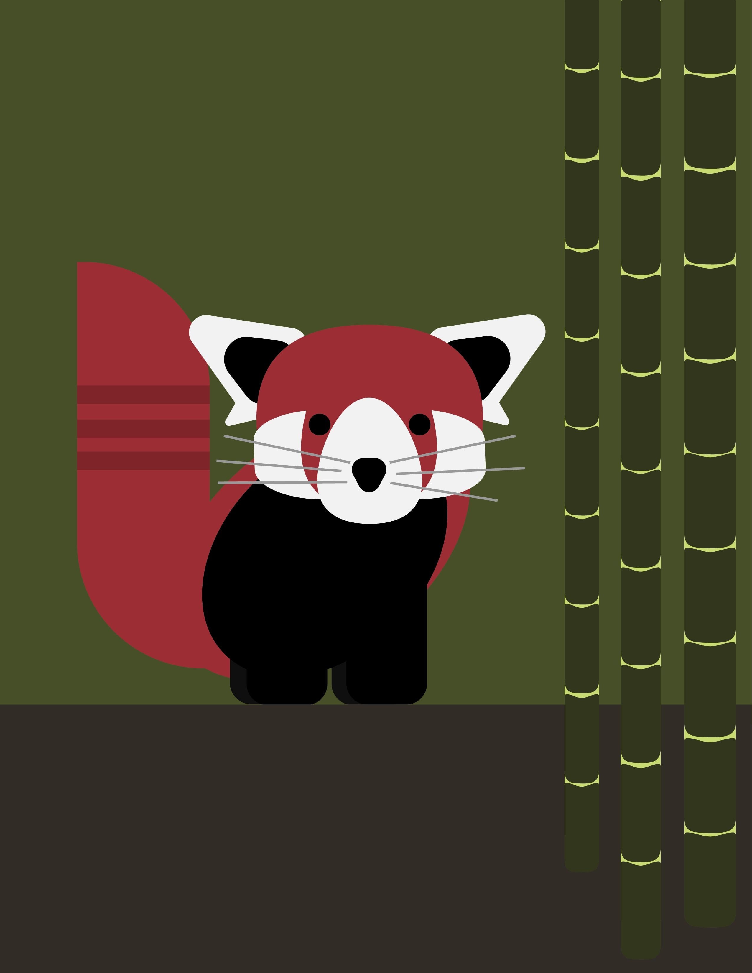 Red Panda - student project