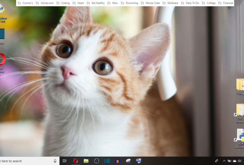 Computing Basics Project Example
