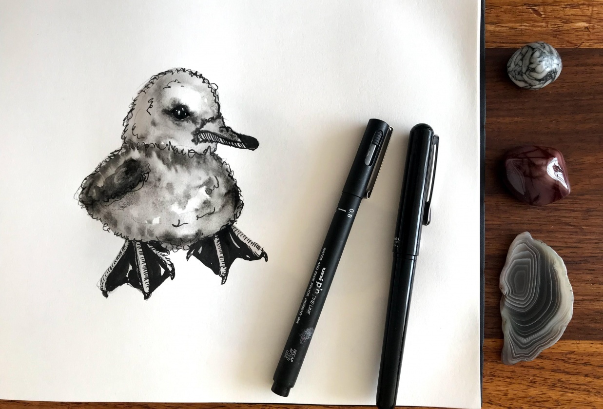 Getting creative with pen and ink <3 - student project