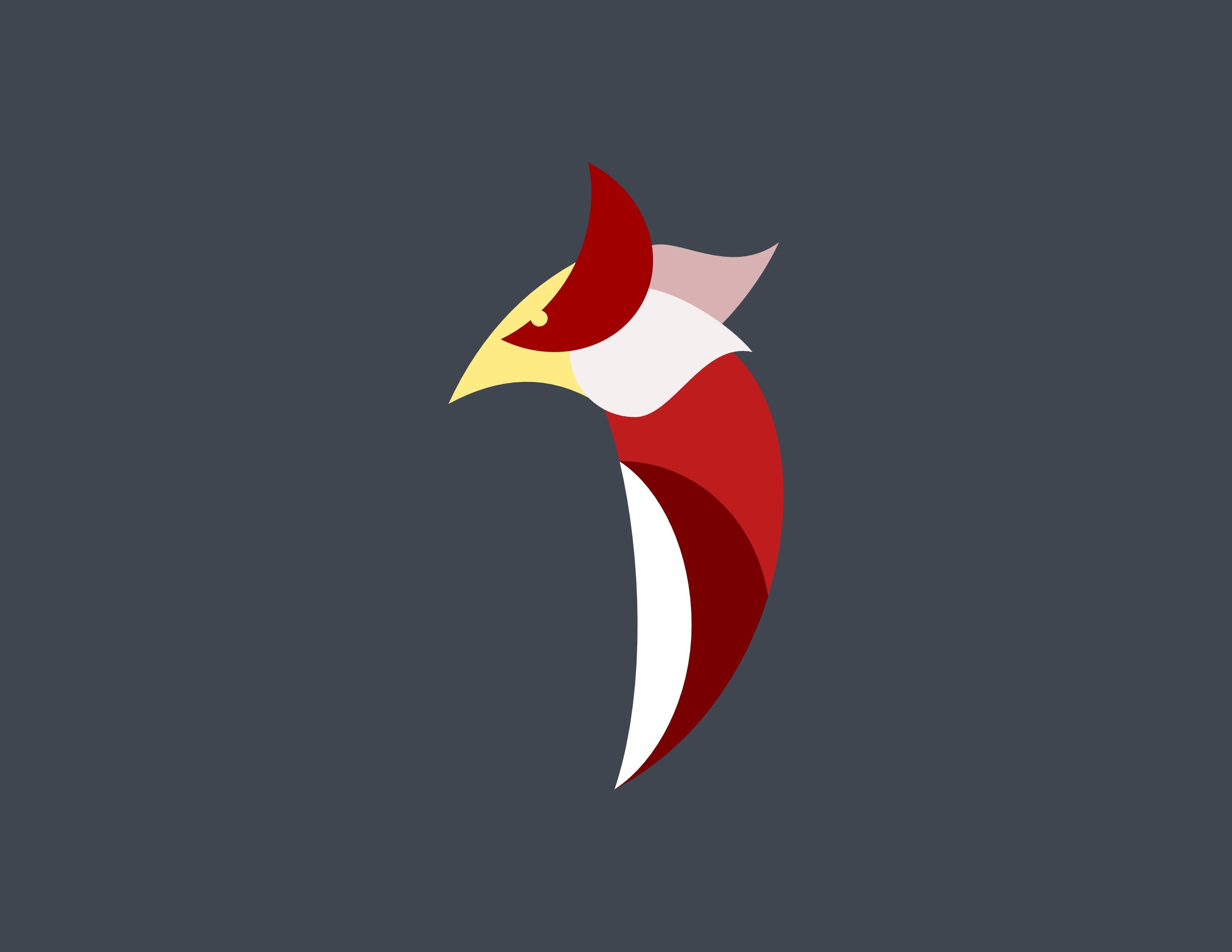 Red Hawk - student project