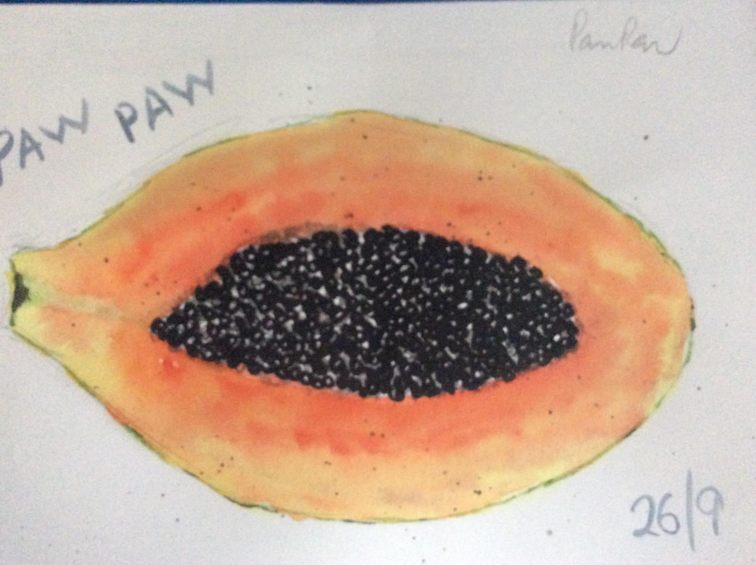 My Paw paw - student project
