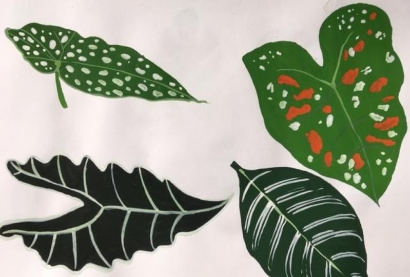 Leaves and flowers