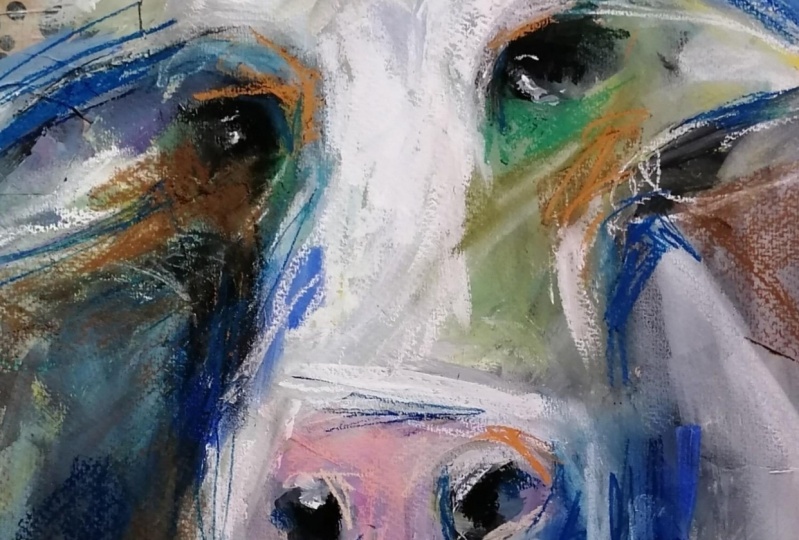 Abstract  cow