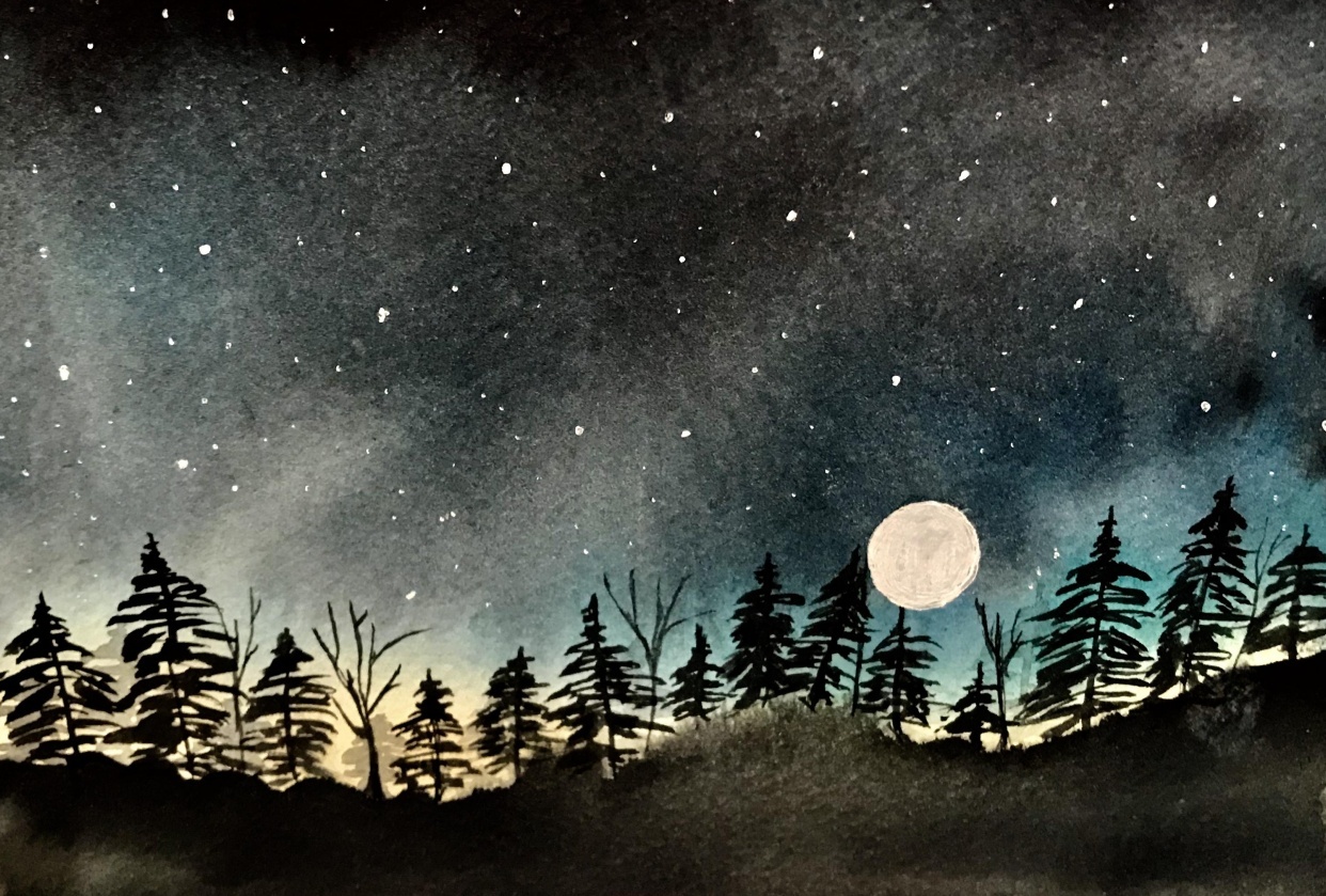 Starry Night Sky - student project