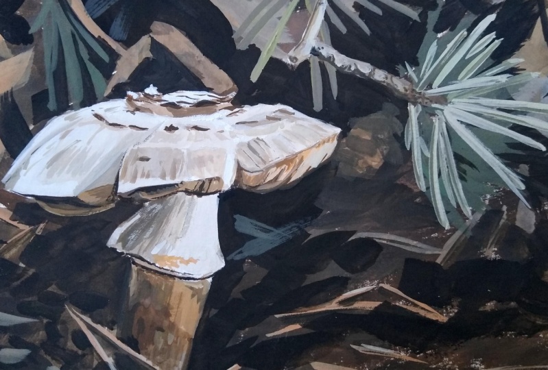 Fir and Fungi in Goauche