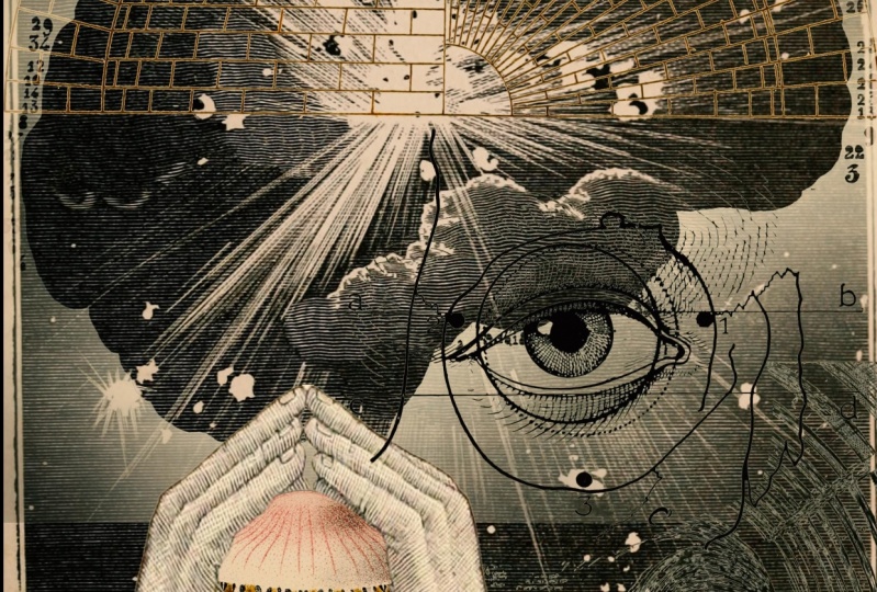 The brain is the mind in space