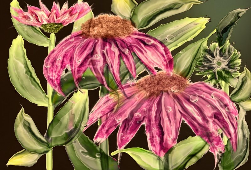 Alcohol Ink Florals on the iPad with Procreate by Starlene Designs