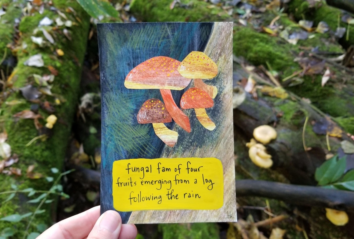 Collage fungi - student project