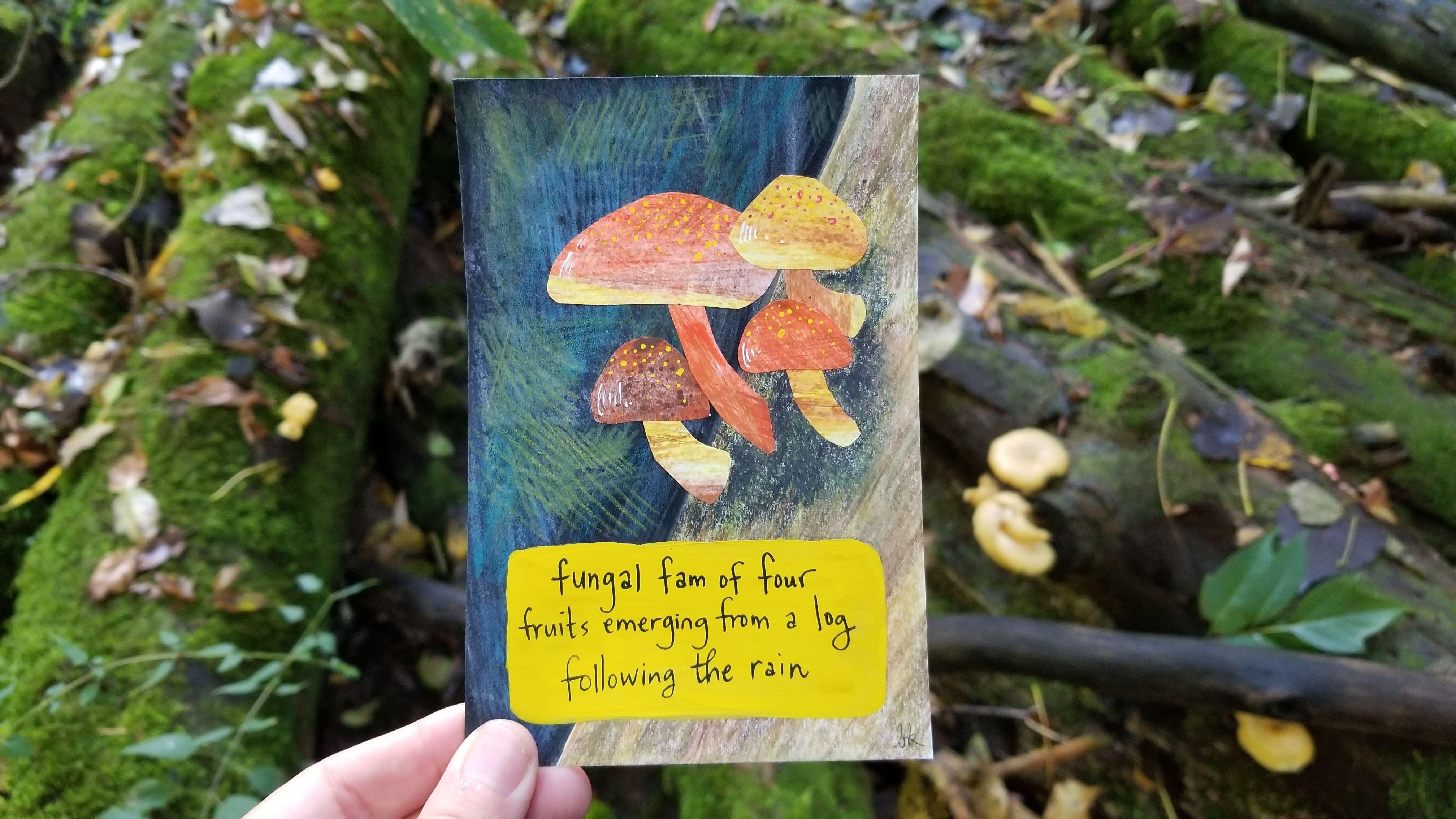 Collage fungi - student project