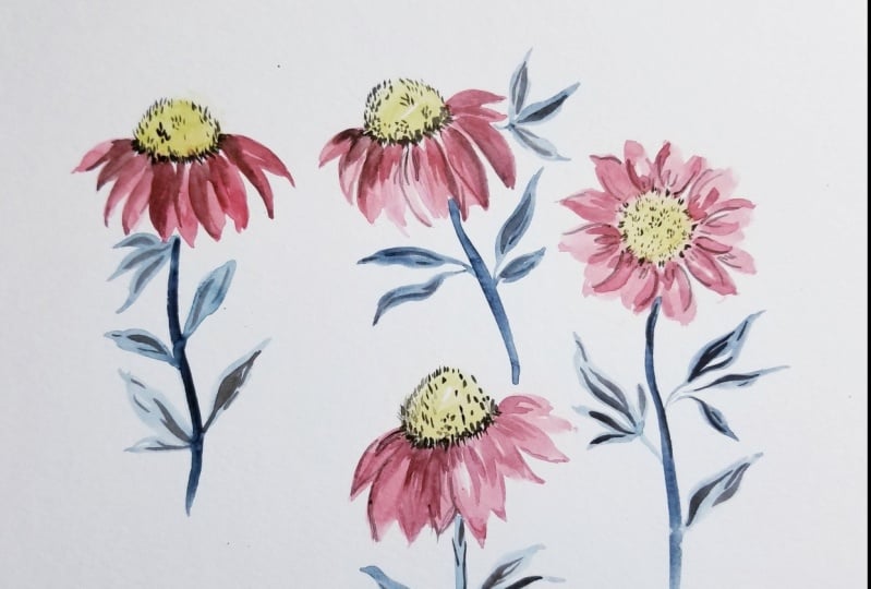 Watercolor Cone Flowers