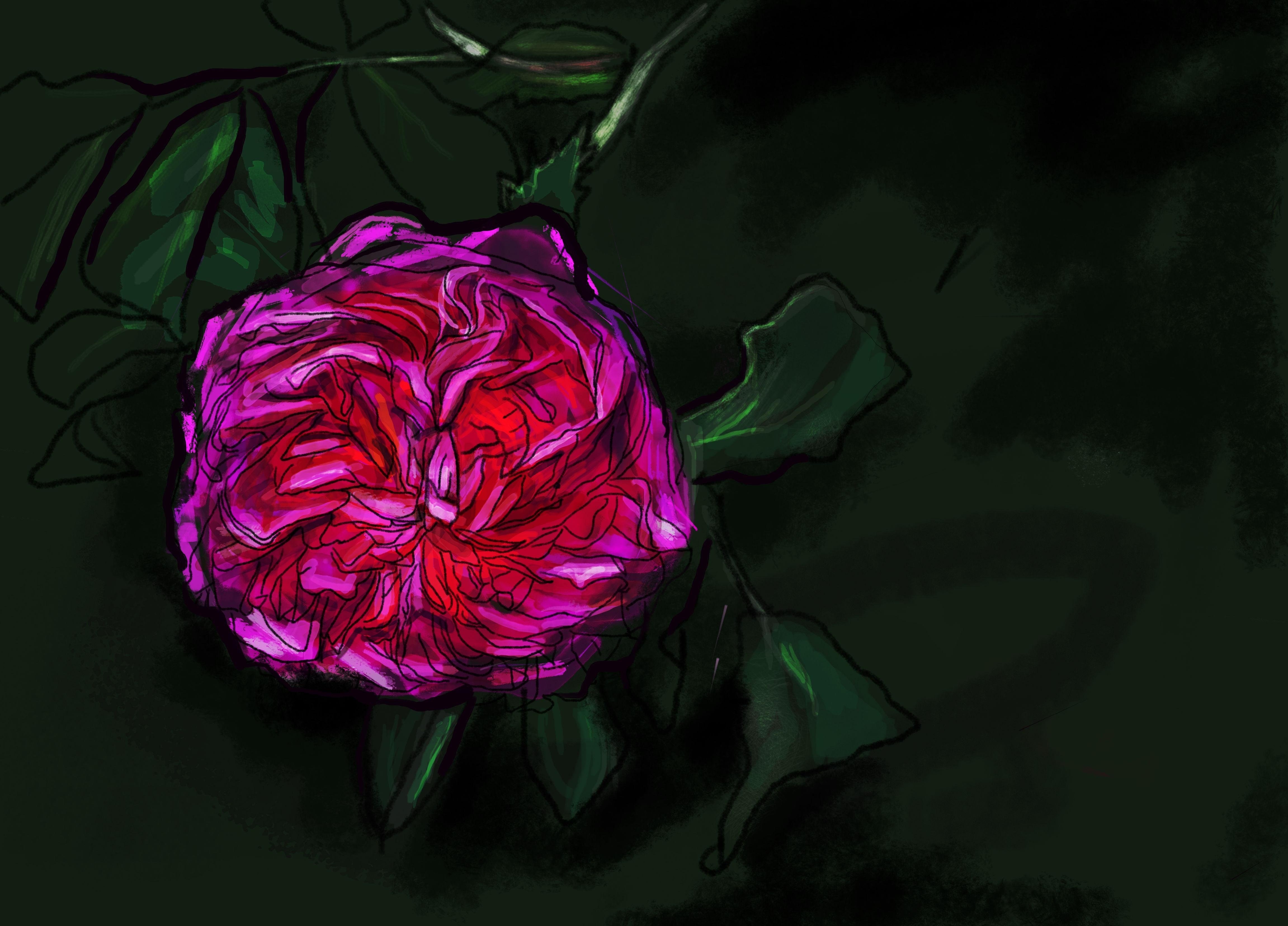 more-projects-from-class-img