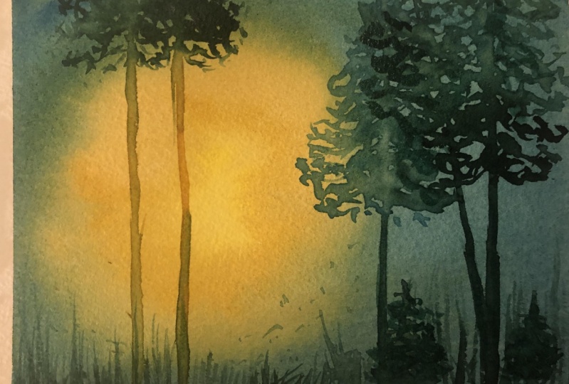 Light study