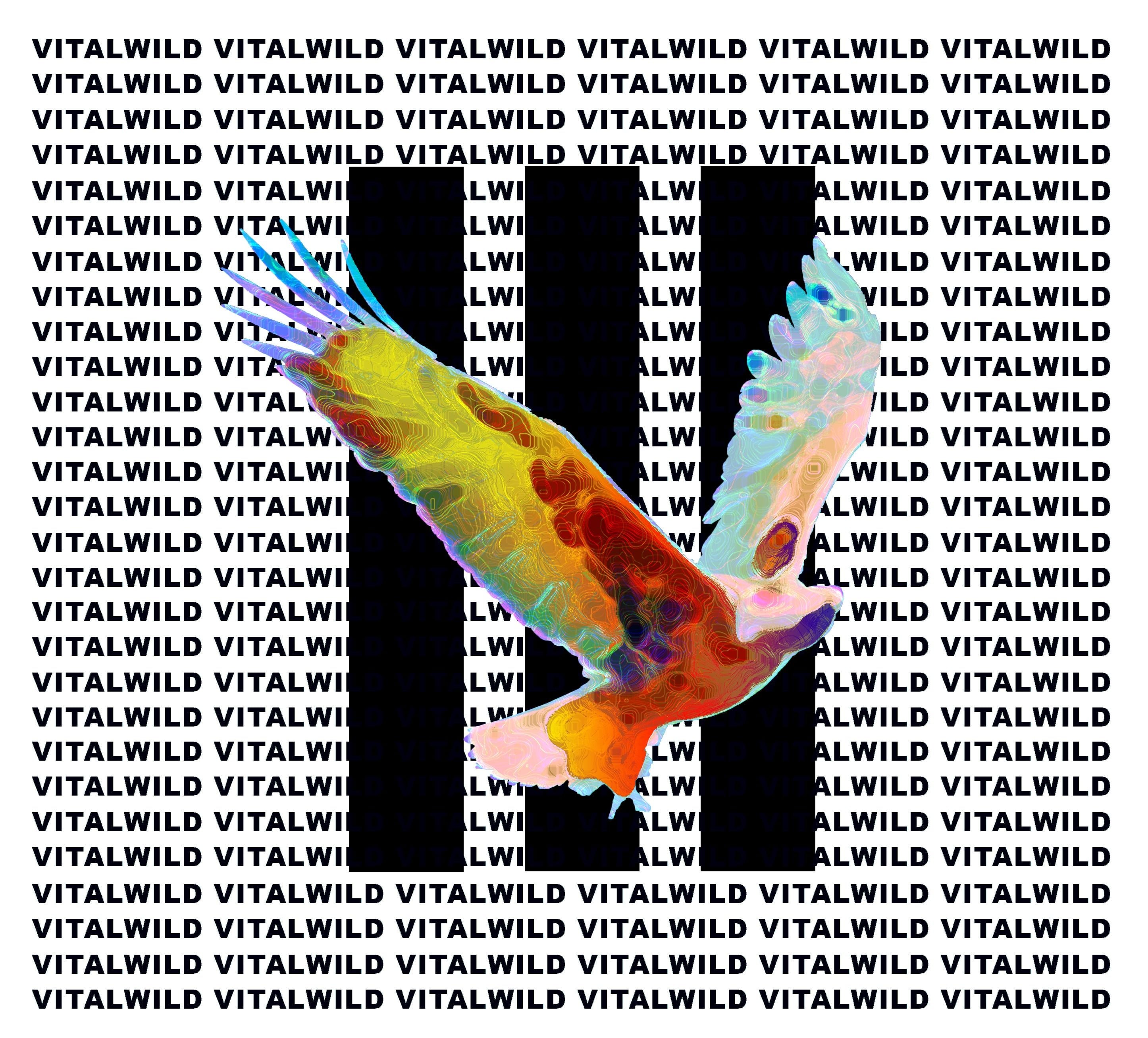 VITALWILD - student project