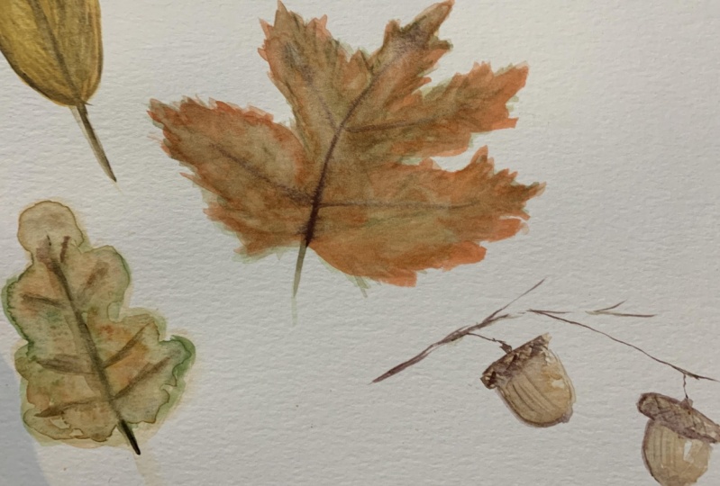 fall fun!