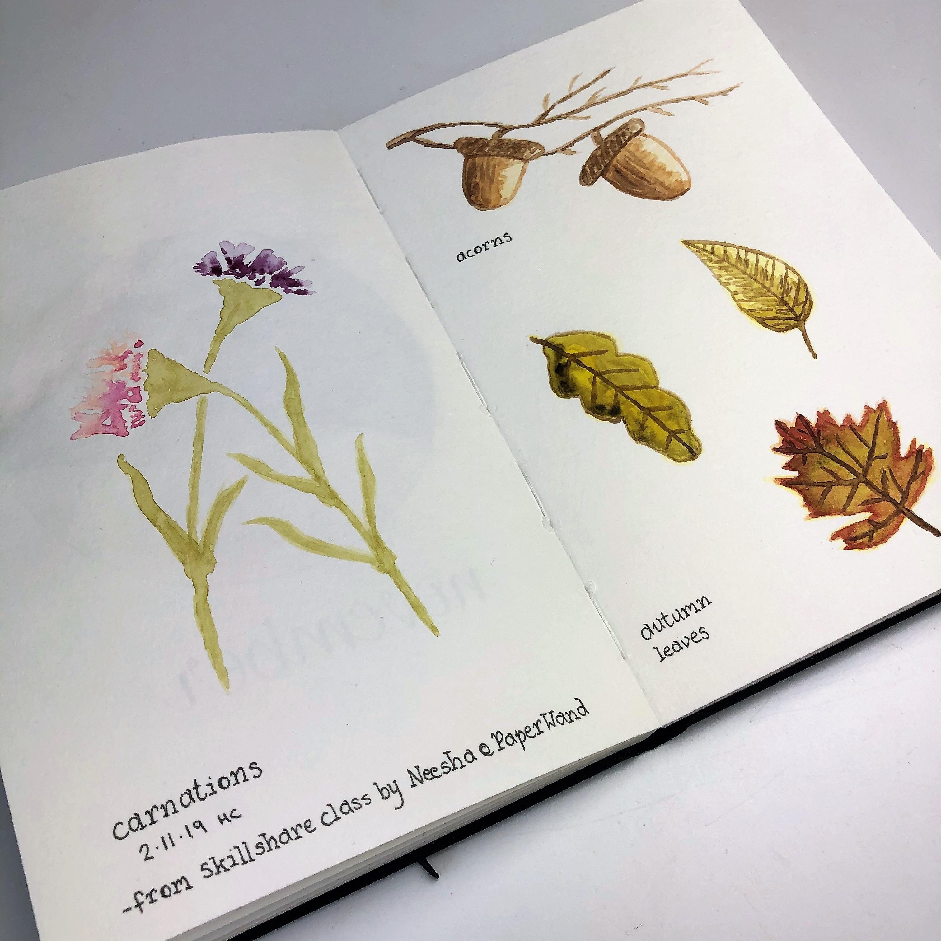 Watercolour Project - student project