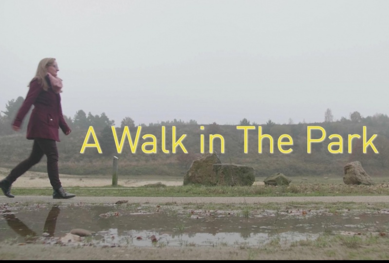 A Walk in the Park