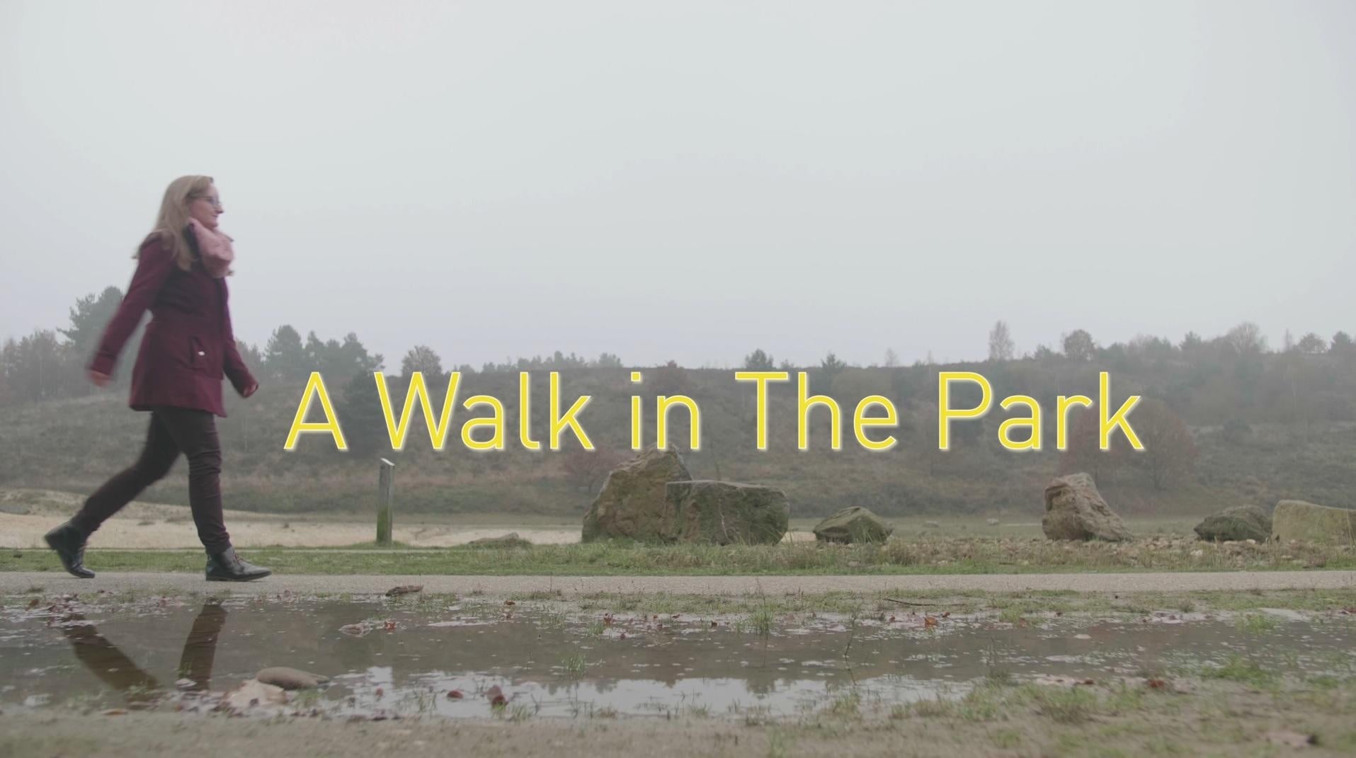 A Walk in the Park - student project