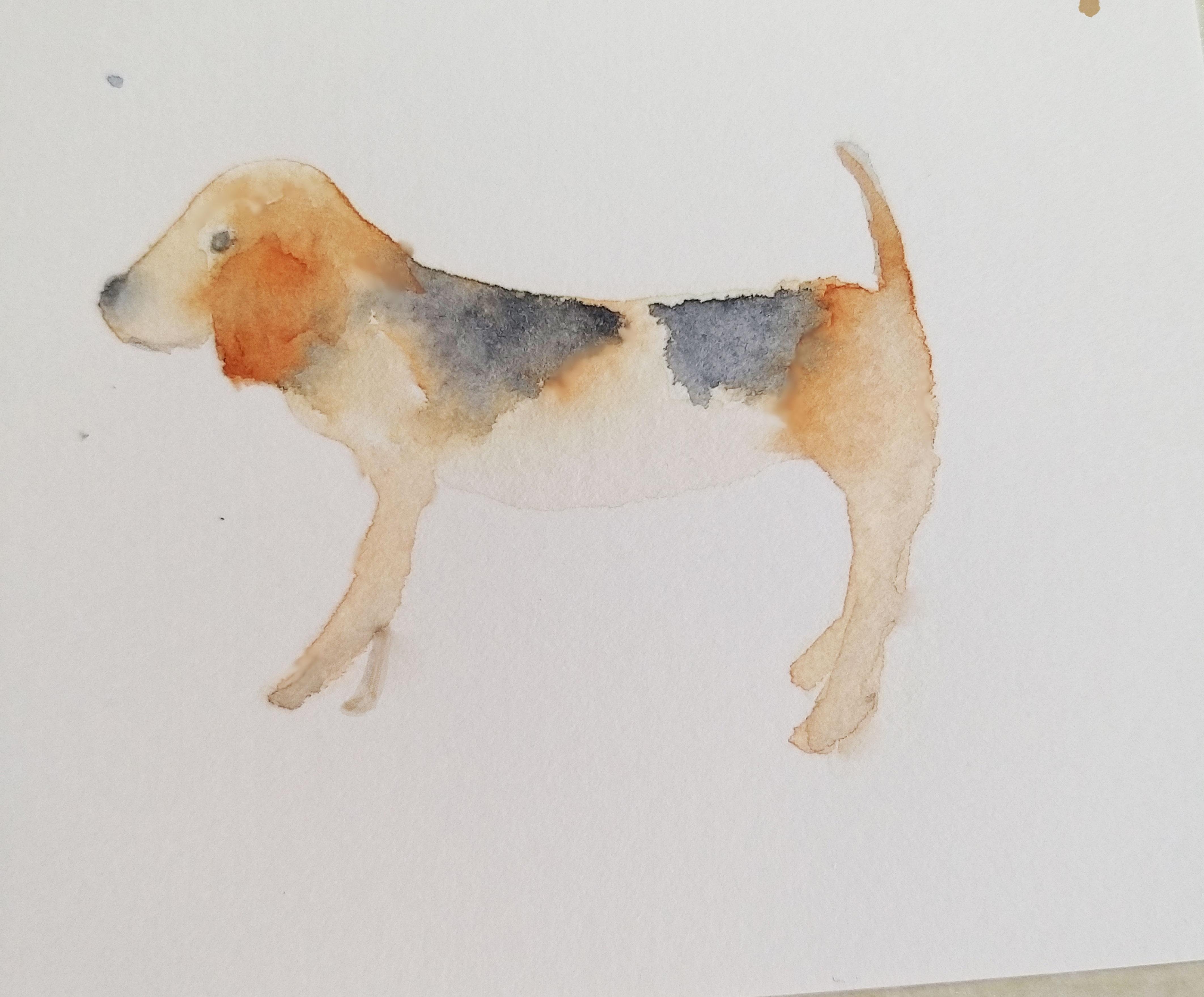 Animal watercolor - student project