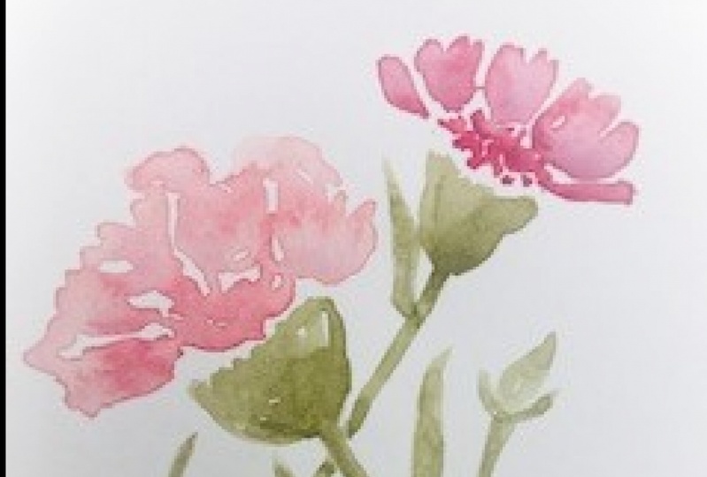Carnations