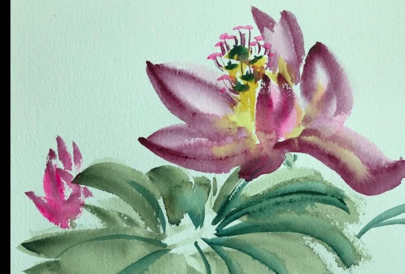 Lotus Flower with Watercolor