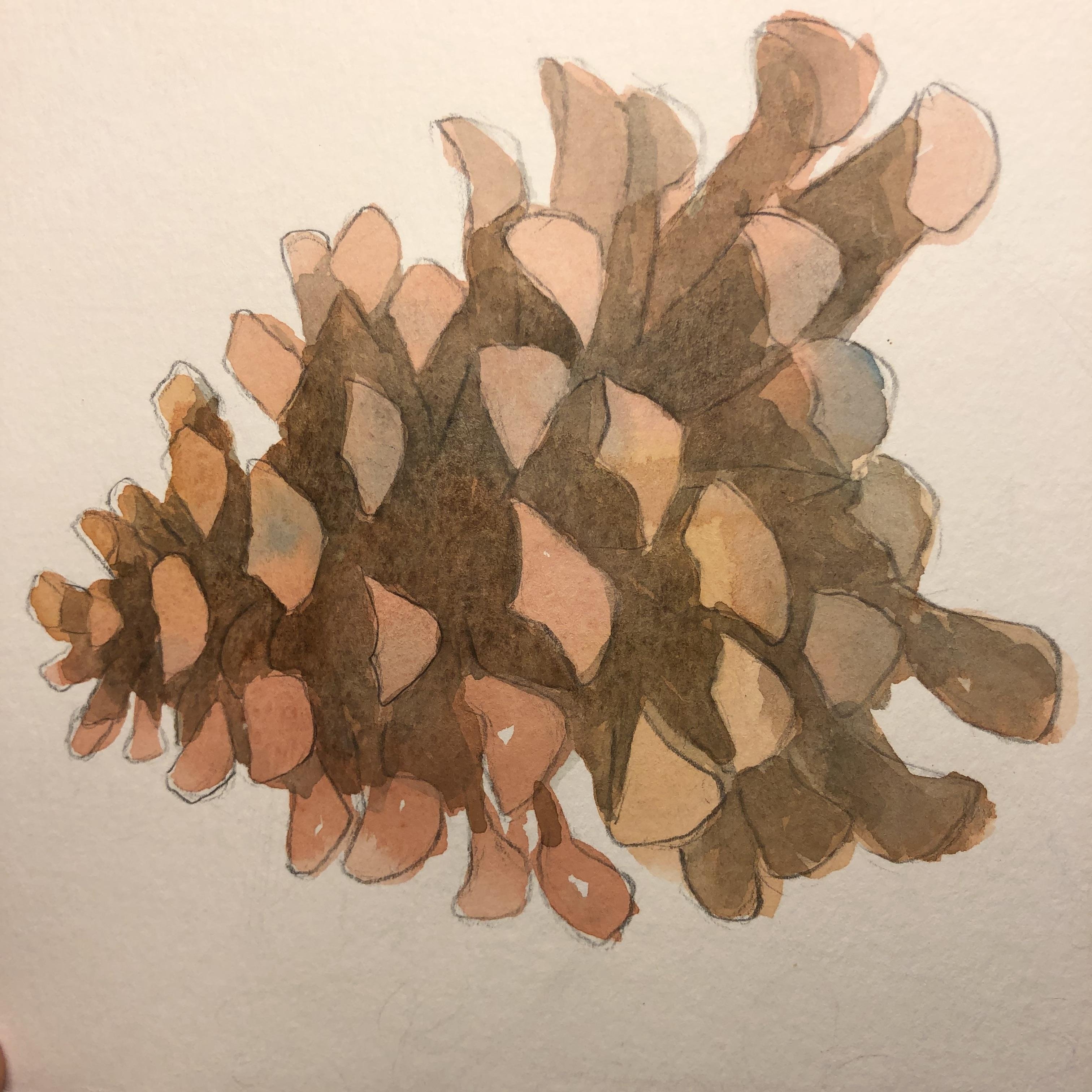 Pinecone! - student project