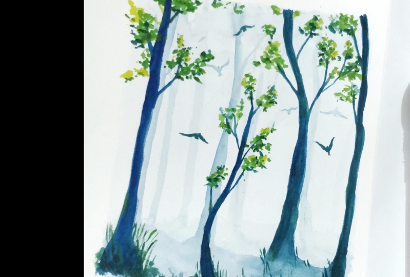 Misty forest