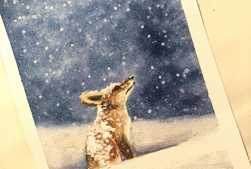 Cute fox