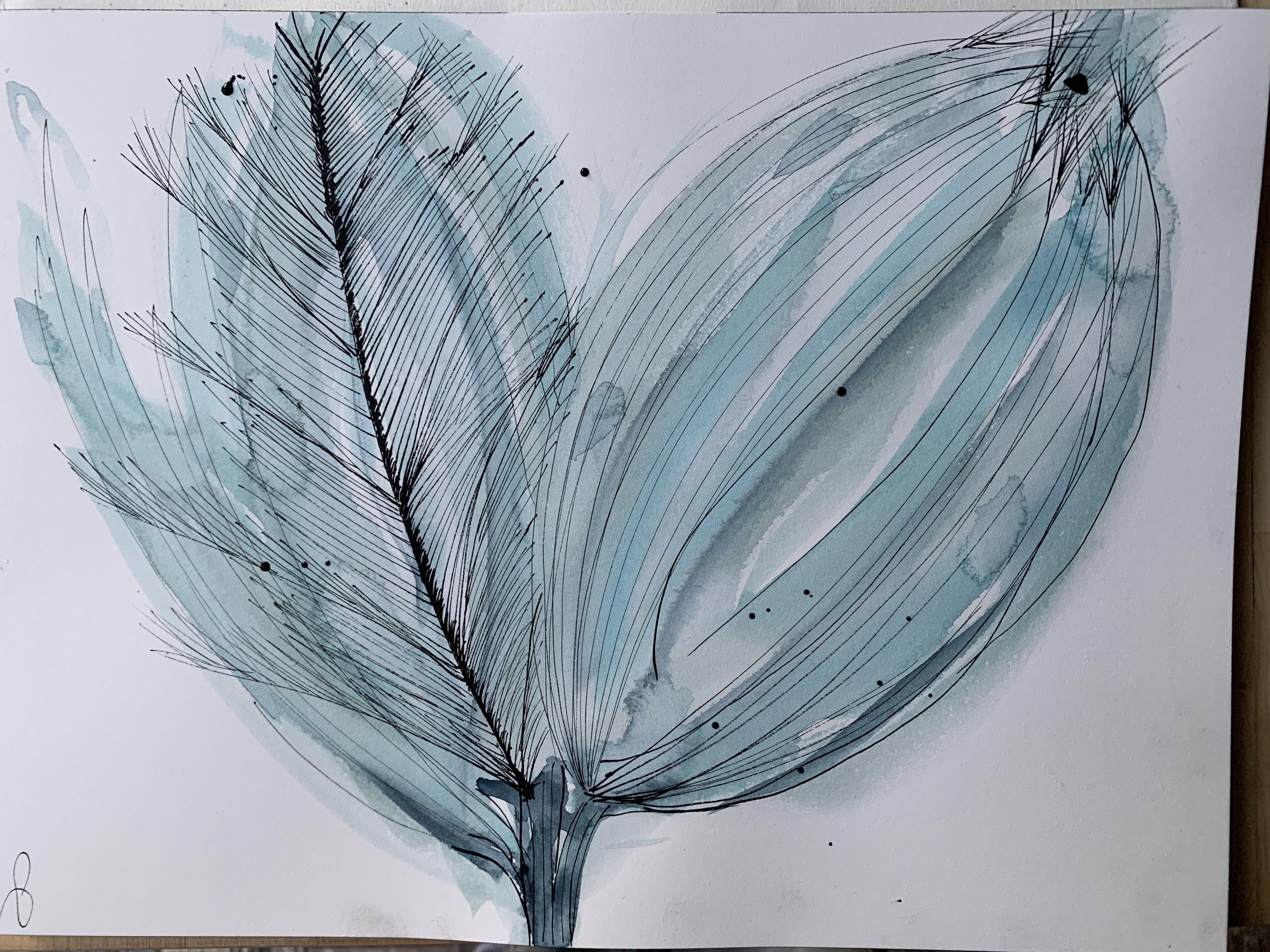 Botanical watercolour and ink - student project