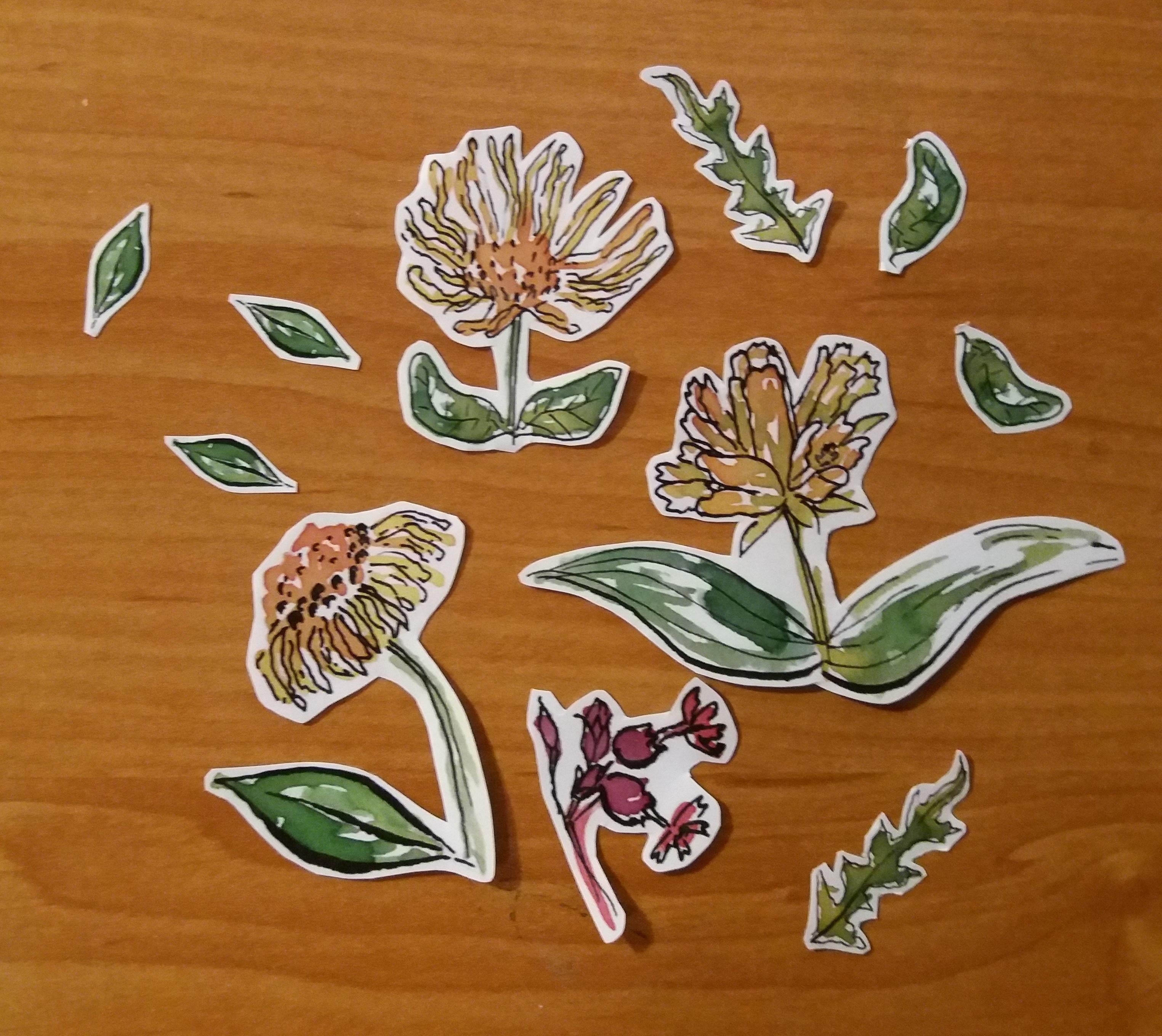 more-projects-from-class-img