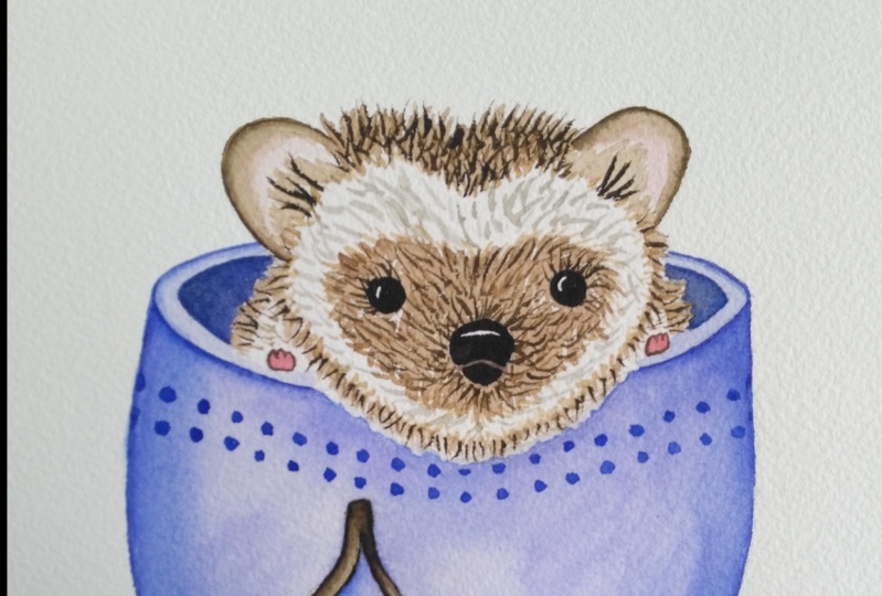 Hedgehog in cup