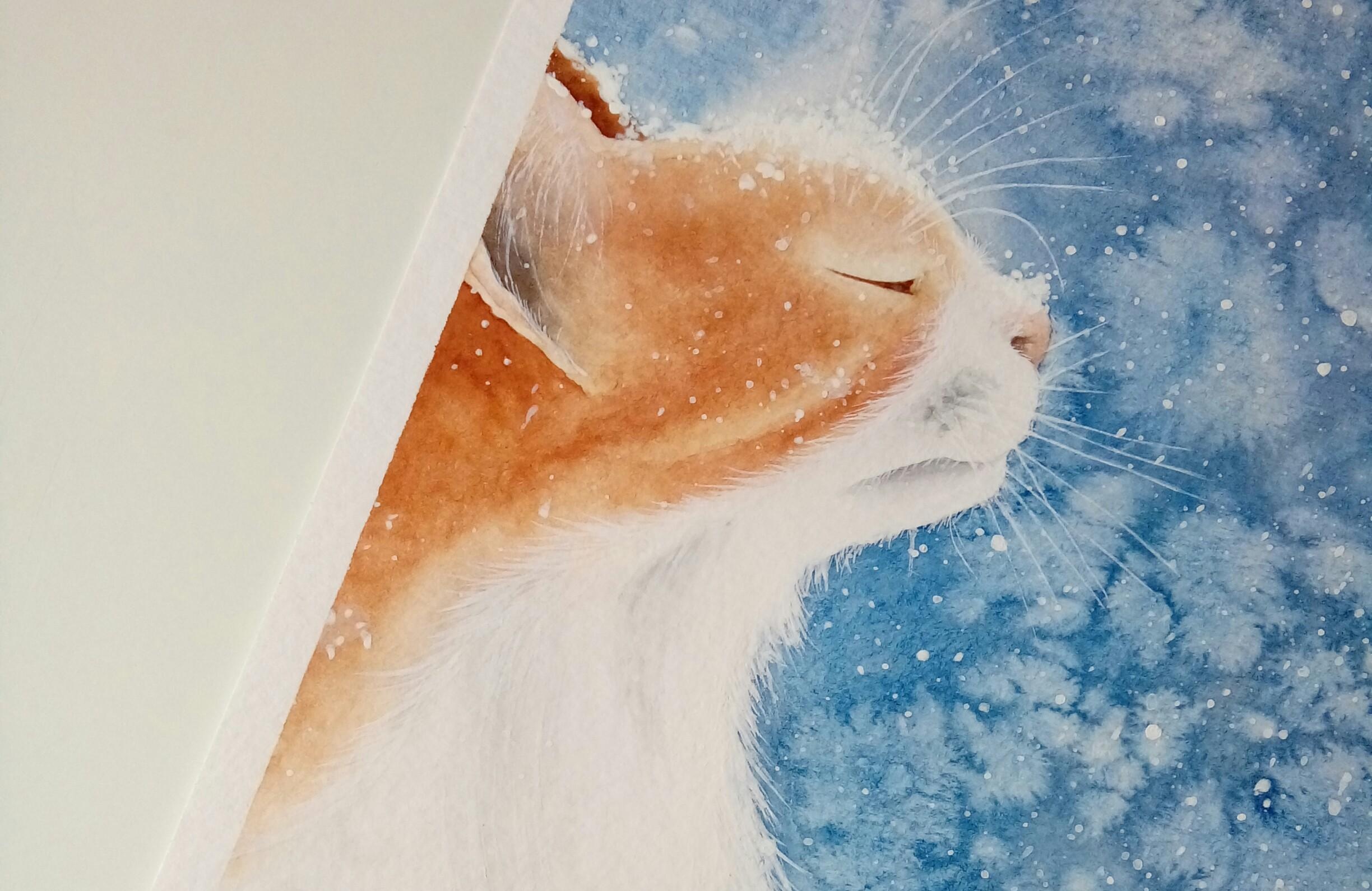 Winter Snowfall