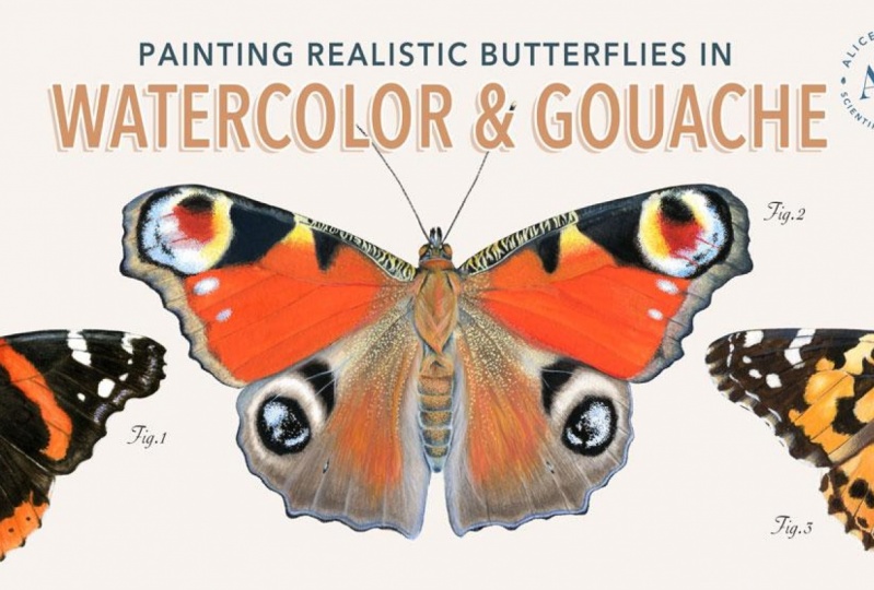 [PUBLISHED] Painting Realistic Butterflies in Watercolor & Gouache