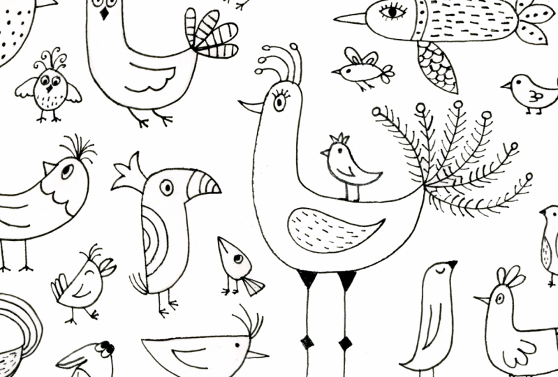 My Birds with Personality