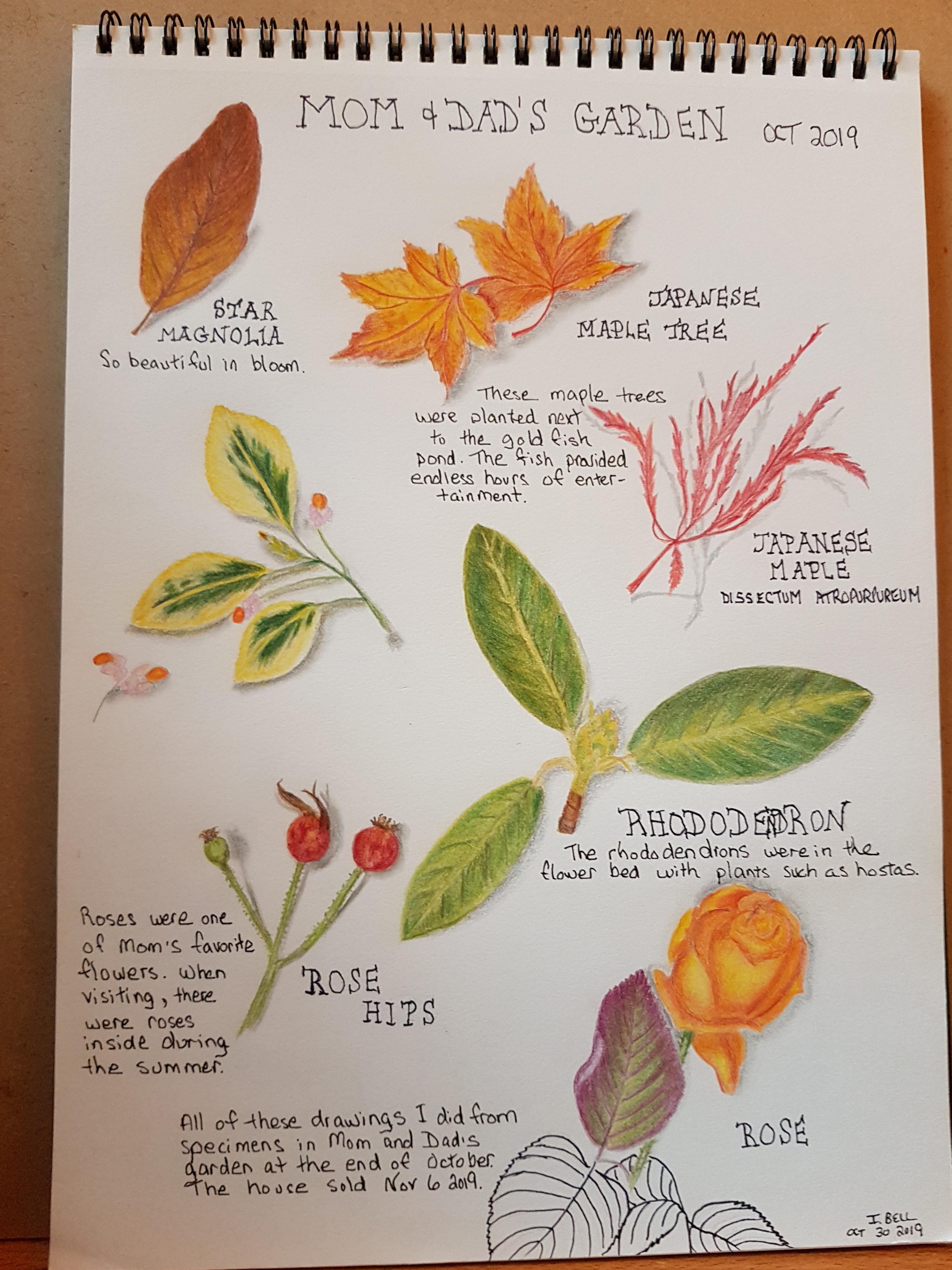 more-projects-from-class-img