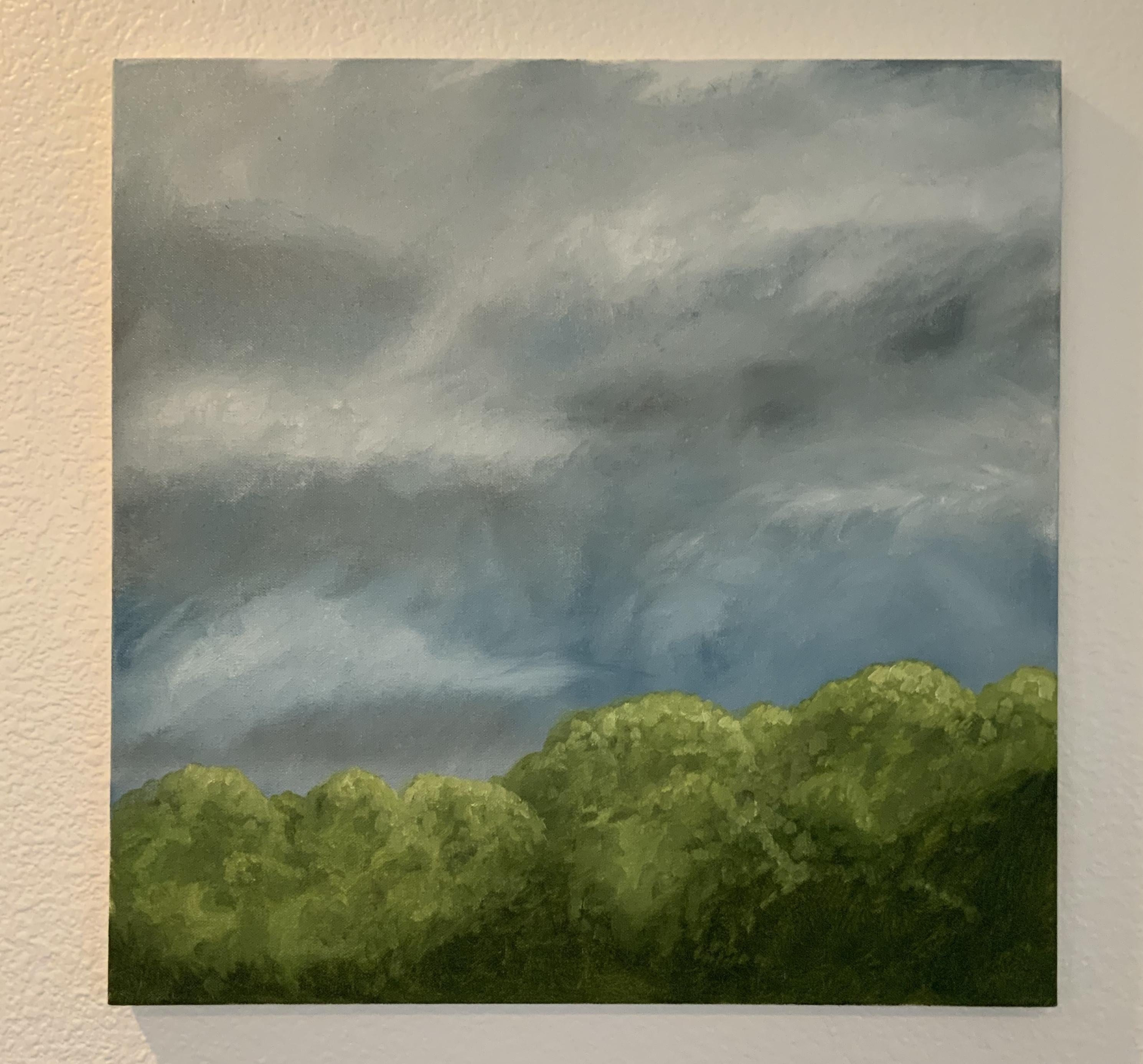 forest - student project