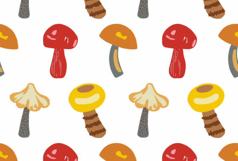 Half-drop repeat — mushrooms!